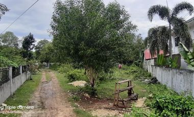 3840𝙨𝙦𝙢 𝘼𝙡𝙤𝙣𝙜 𝘽𝙧𝙜𝙮 𝙍𝙤𝙖𝙙 𝙏𝙖𝙬𝙖𝙡𝙖 𝙋𝙖𝙣𝙜𝙡𝙖𝙤 𝘽𝙤𝙝𝙤𝙡 | 𝘽𝙊𝙃𝙊𝙇𝘼𝙉𝘼 𝙍𝙀𝘼𝙇𝙏𝙔