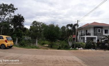 3840𝙨𝙦𝙢 𝘼𝙡𝙤𝙣𝙜 𝘽𝙧𝙜𝙮 𝙍𝙤𝙖𝙙 𝙏𝙖𝙬𝙖𝙡𝙖 𝙋𝙖𝙣𝙜𝙡𝙖𝙤 𝘽𝙤𝙝𝙤𝙡 | 𝘽𝙊𝙃𝙊𝙇𝘼𝙉𝘼 𝙍𝙀𝘼𝙇𝙏𝙔