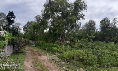 3840𝙨𝙦𝙢 𝘼𝙡𝙤𝙣𝙜 𝘽𝙧𝙜𝙮 𝙍𝙤𝙖𝙙 𝙏𝙖𝙬𝙖𝙡𝙖 𝙋𝙖𝙣𝙜𝙡𝙖𝙤 𝘽𝙤𝙝𝙤𝙡 | 𝘽𝙊𝙃𝙊𝙇𝘼𝙉𝘼 𝙍𝙀𝘼𝙇𝙏𝙔