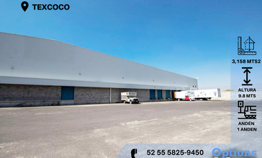 Rent warehouse in Texcoco