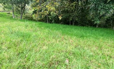 VENDO LOTE EN COPACABANA PERFECTO PARA CONSTRUIR LA CASA DE TUS SUEÑOS