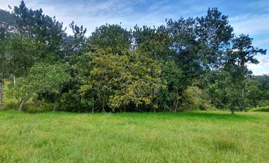 VENDO LOTE EN COPACABANA PERFECTO PARA CONSTRUIR LA CASA DE TUS SUEÑOS