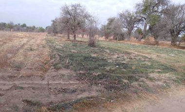 Venta de terreno de 1,660 m2 rustico- a 500 metros de Jurisdicción Sanitaria 5.