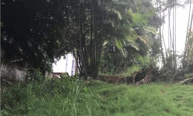 Venta de terreno en El Cangrejo GTA