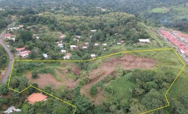 Se vende finca en Pedregal, Villalobos