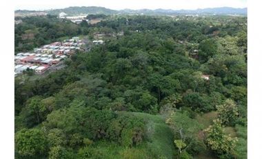 Se vende finca en Pedregal, Villalobos