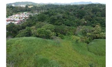 Se vende finca en Pedregal, Villalobos