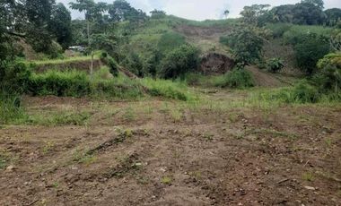 Se vende finca en Pedregal, Villalobos
