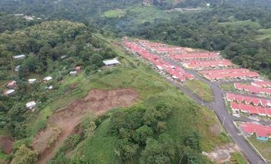 Se vende finca en Pedregal, Villalobos