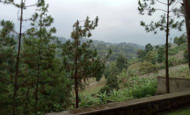 Villa nyaman dan asri BU di dago dekat cigadung dan awiligar