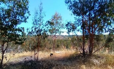 Sitio en Venta en Brisas de Topocalma