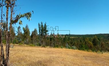 Sitio en Venta en Brisas de Topocalma