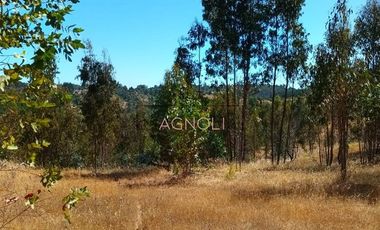 Sitio en Venta en Brisas de Topocalma