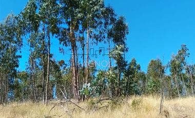 Sitio en Venta en Brisas de Topocalma