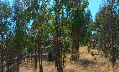 Sitio en Venta en Brisas de Topocalma