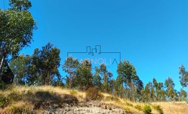 Sitio en Venta en Brisas de Topocalma