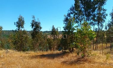 Sitio en Venta en Brisas de Topocalma