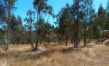 Sitio en Venta en Brisas de Topocalma