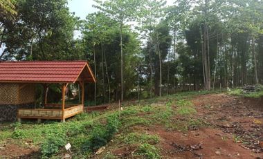 TANAH KAVLING INVESTASI NAIK DI 20-40% DI DEKAT TOL CILEUNYI