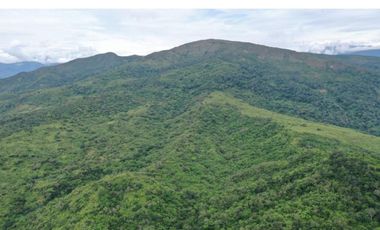 finca en venta en san cayetano. Cod V3138