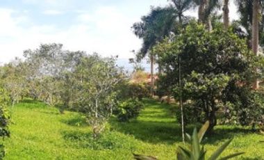 casa campestre en venta en vereda santa bárbara. Cod V14802