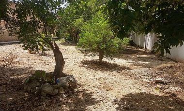 Espectacular Casa en Venta! Amplio Jardín, Valladolid, Pueblo