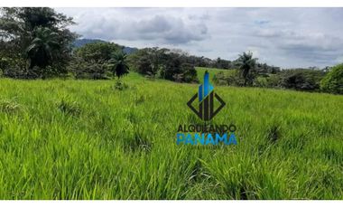 Se Vende Finca Ganadera 120 Ha San Lorenzo USD$1,080,000,00