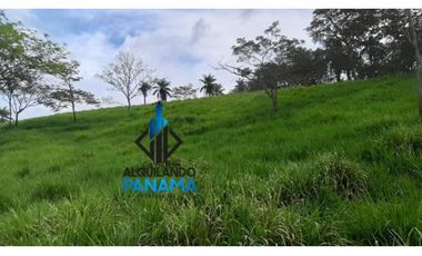 Se Vende Finca Ganadera 120 Ha San Lorenzo USD$1,080,000,00