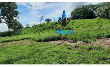 Se Vende Finca Ganadera 120 Ha San Lorenzo USD$1,080,000,00