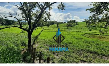 Se Vende Finca Ganadera 120 Ha San Lorenzo USD$1,080,000,00