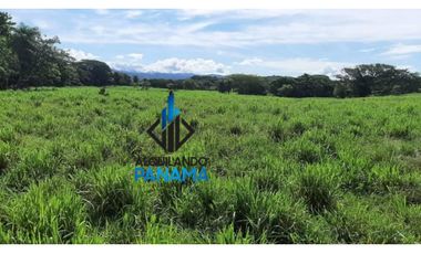 Se Vende Finca Ganadera 120 Ha San Lorenzo USD$1,080,000,00