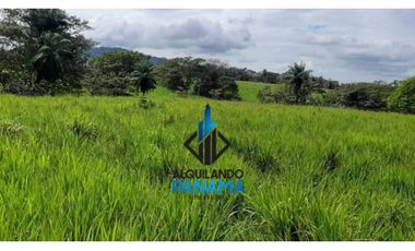 Se Vende Finca Ganadera 120 Ha San Lorenzo USD$1,080,000,00