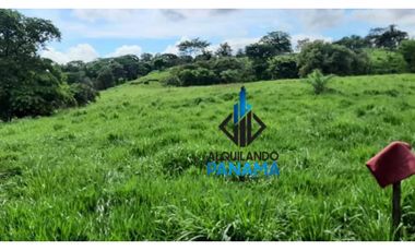Se Vende Finca Ganadera 120 Ha San Lorenzo USD$1,080,000,00