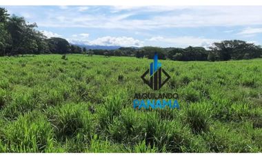 Se Vende Finca Ganadera 120 Ha San Lorenzo USD$1,080,000,00