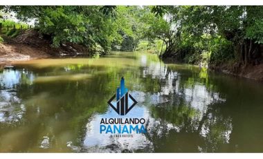 Se Vende Finca Ganadera 120 Ha San Lorenzo USD$1,080,000,00