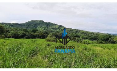 Se Vende Finca Ganadera 120 Ha San Lorenzo USD$1,080,000,00