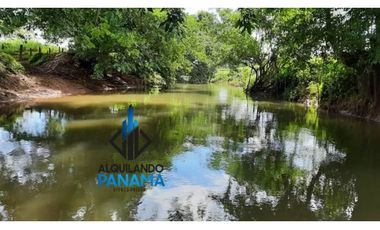Se Vende Finca Ganadera 120 Ha San Lorenzo USD$1,080,000,00