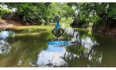 Se Vende Finca Ganadera 120 Ha San Lorenzo USD$1,080,000,00
