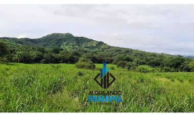 Se Vende Finca Ganadera 120 Ha San Lorenzo USD$1,080,000,00