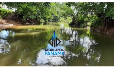 Se Vende Finca Ganadera 120 Ha San Lorenzo USD$1,080,000,00