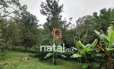 TERRENO EN VENTA centro COATEPEC VERACRUZ