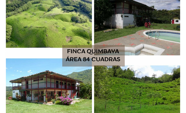 FINCA EN QUIMBAYA  REA 84 CUADRAS