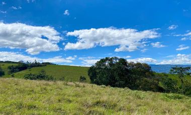 finca en venta en vereda las monjas. Cod V9763482