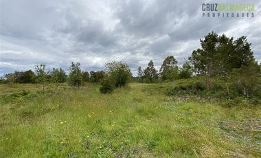 Terreno Construccion  en Venta en Oportunidad !!! Terreno Urbano sector Pelluco Alto