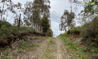 Terreno Construccion  en Venta en Oportunidad !!! Terreno Urbano sector Pelluco Alto