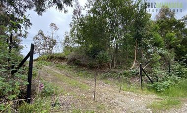 Terreno Construccion  en Venta en Oportunidad !!! Terreno Urbano sector Pelluco Alto