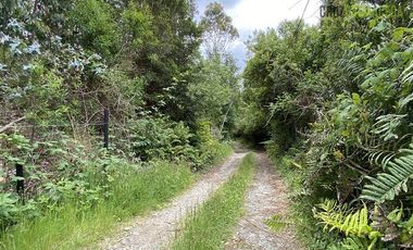 Terreno Construccion  en Venta en Oportunidad !!! Terreno Urbano sector Pelluco Alto