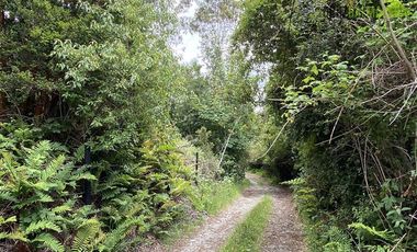 Terreno Construccion  en Venta en Oportunidad !!! Terreno Urbano sector Pelluco Alto