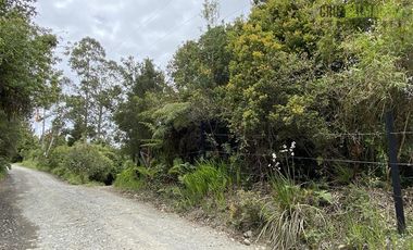 Terreno Construccion  en Venta en Oportunidad !!! Terreno Urbano sector Pelluco Alto