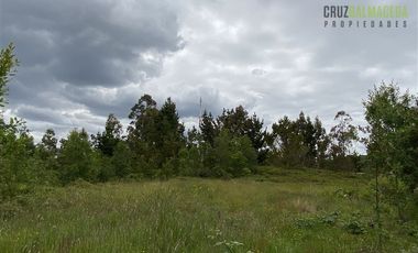 Terreno Construccion  en Venta en Oportunidad !!! Terreno Urbano sector Pelluco Alto